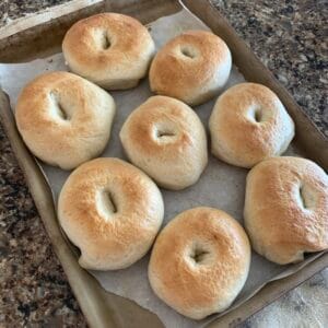 6 Bagels - SOURDOUGH