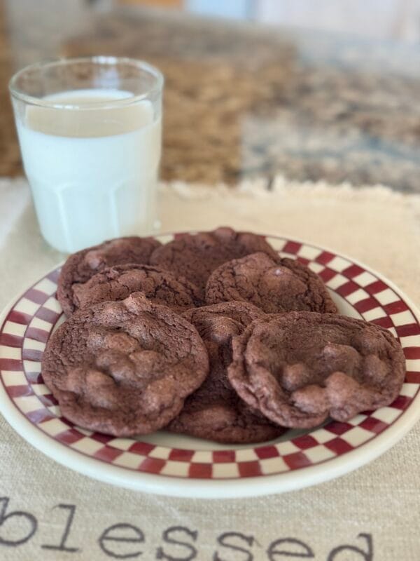 12-Chewy Brownie Cookies